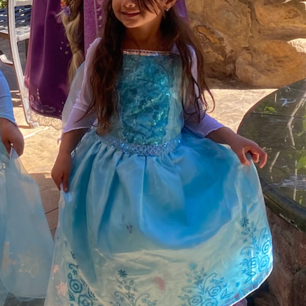 Elsa Costume